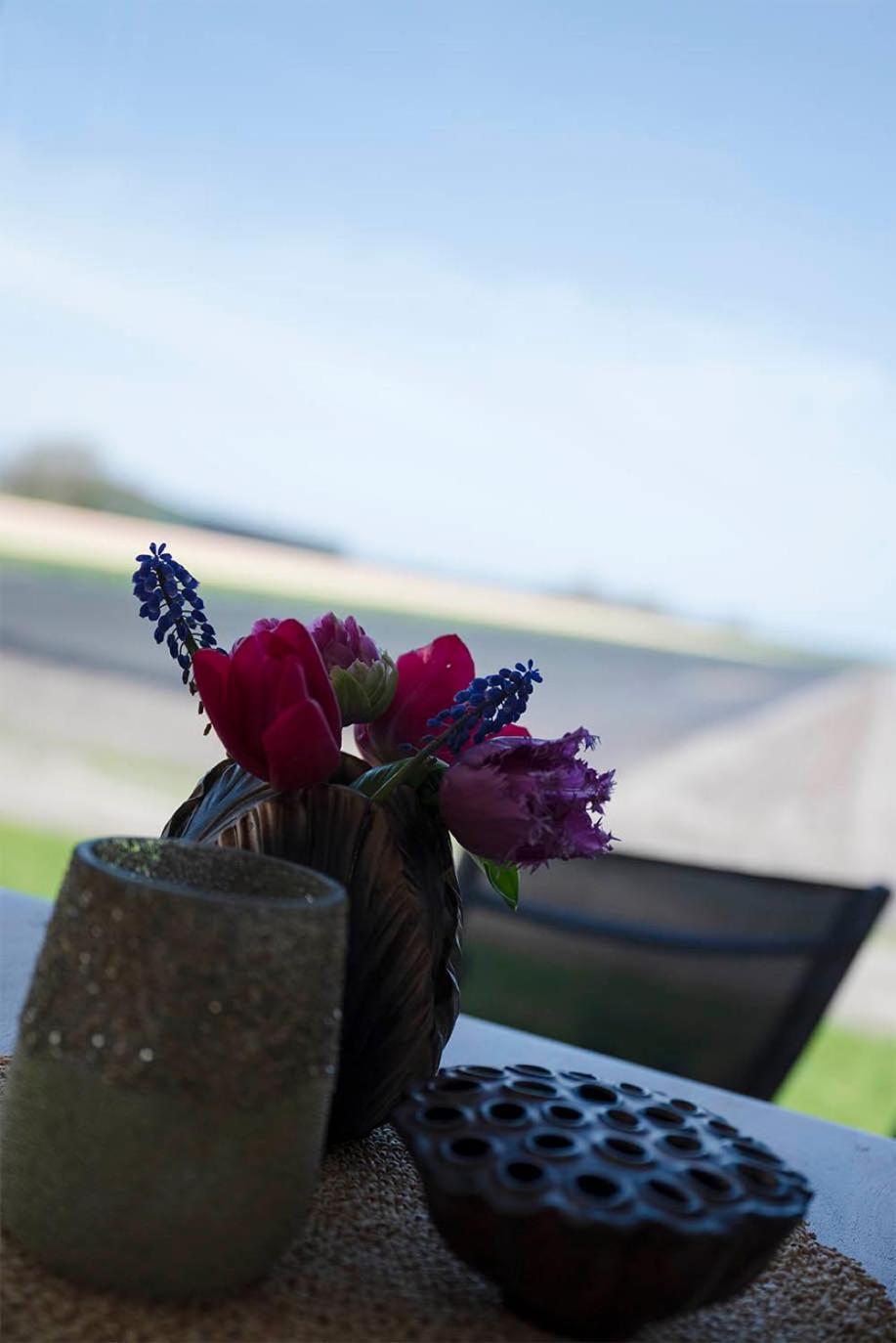 Bloem & Bed Bed & Breakfast 't Zand Eksteriør bilde