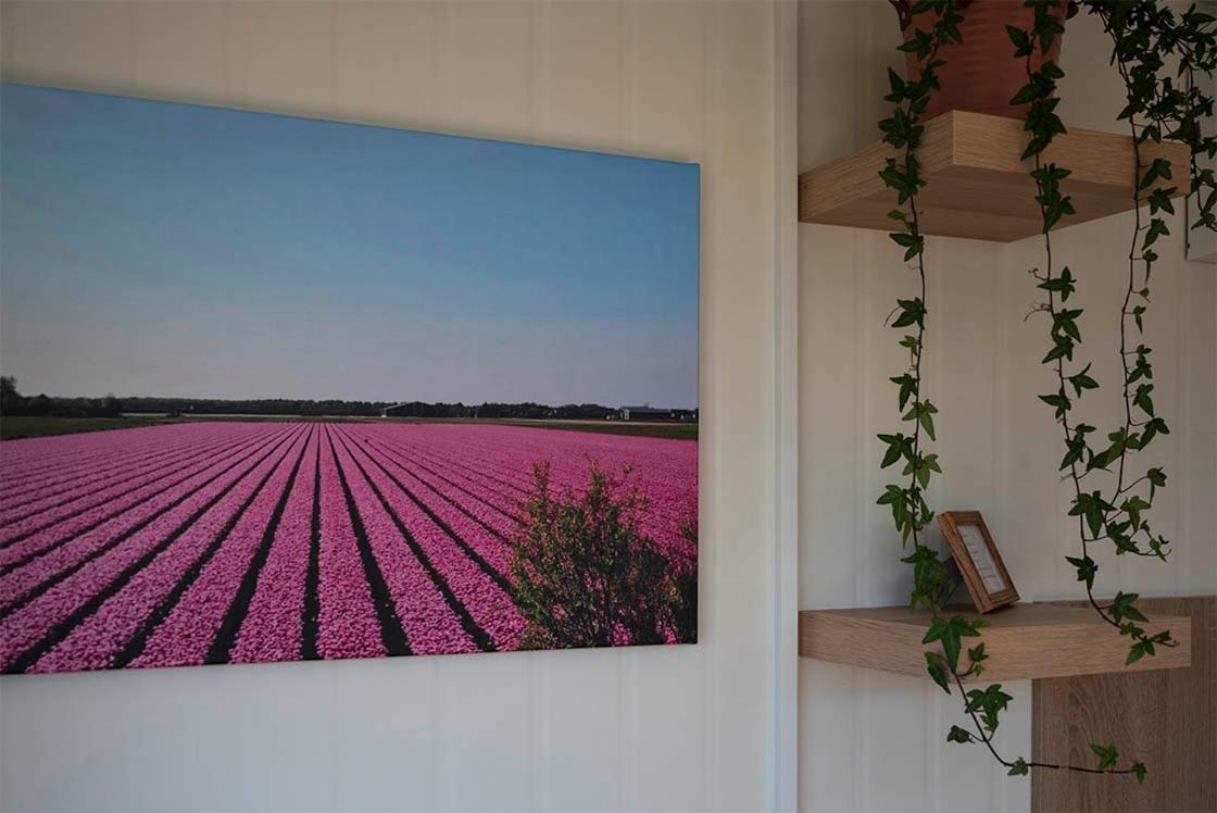 Bloem & Bed Bed & Breakfast 't Zand Eksteriør bilde