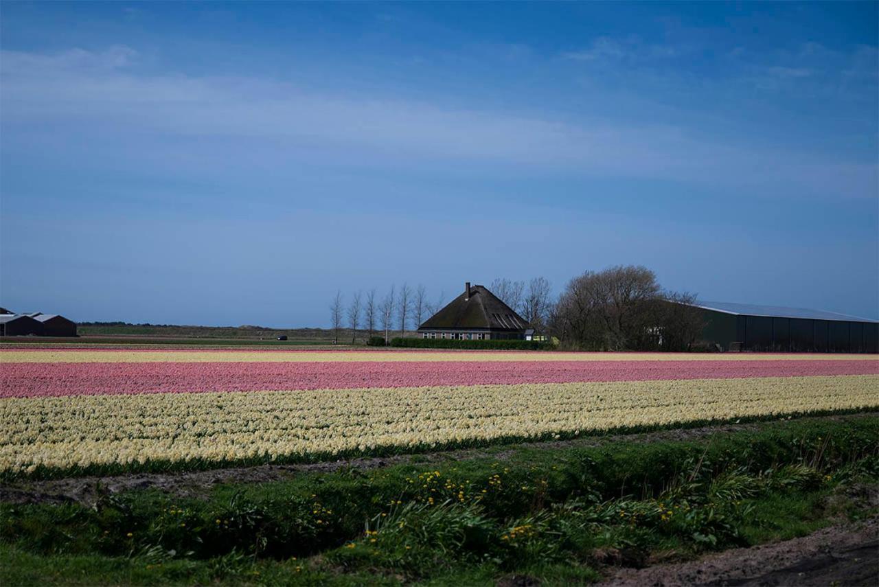 Bloem & Bed Bed & Breakfast 't Zand Eksteriør bilde