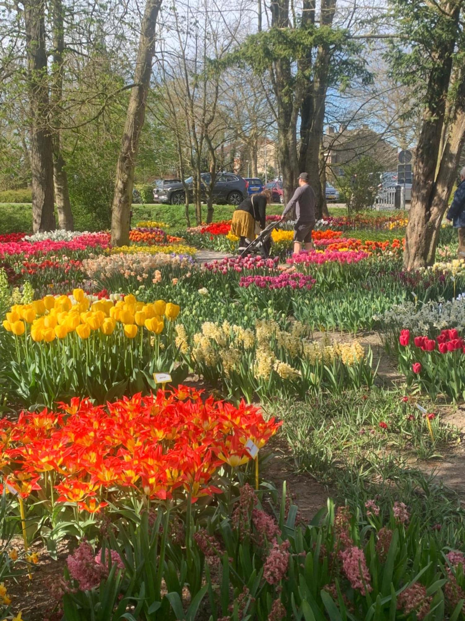 Bloem & Bed Bed & Breakfast 't Zand Eksteriør bilde